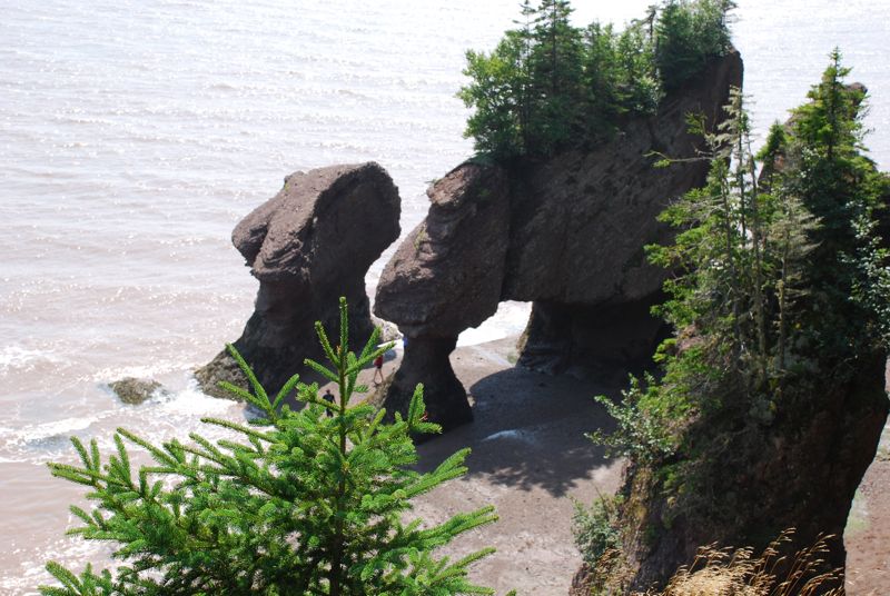 Rock formations on a beach with trees and ocean waves