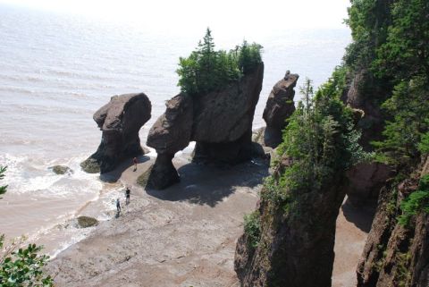 1996 Ford Bronco - The iconic Hopewell Rocks in New Brunswick, Canada, are revealed at low tide, their unique geological formations and allowing visitors to w…