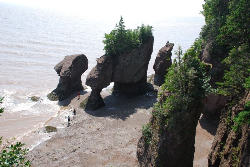 Hopewell Rocks at low tide with people walking on the beach
