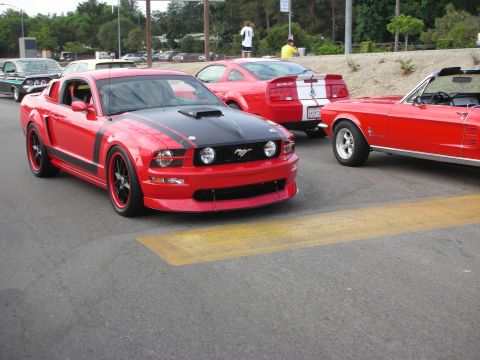 1998 Ford Crown Victoria - Three red cars, including a Ford Mustang, are parked together on a street.