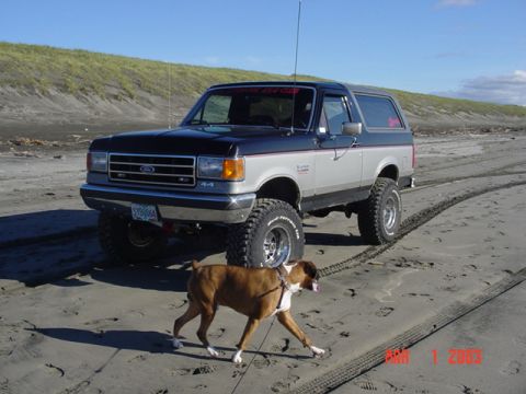 1989 Ford Bronco - Closer with the dog