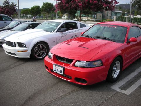 1998 Ford Crown Victoria - A red Ford Mustang is parked next to a white Ford Mustang in a parking lot.