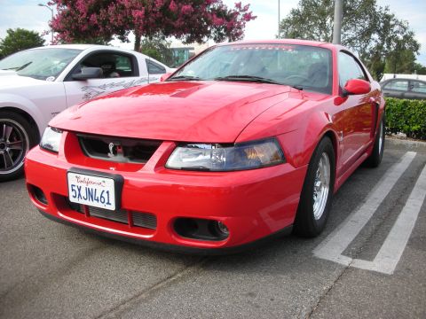 1998 Ford Crown Victoria - A red Ford Mustang Cobra is parked in a lot, with another white Mustang visible to its left.