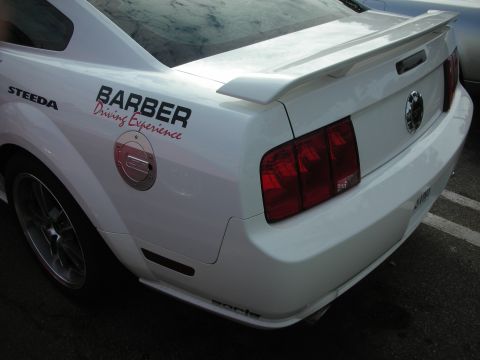 1998 Ford Crown Victoria - Rear view of a white Ford Mustang with custom decals and a spoiler.