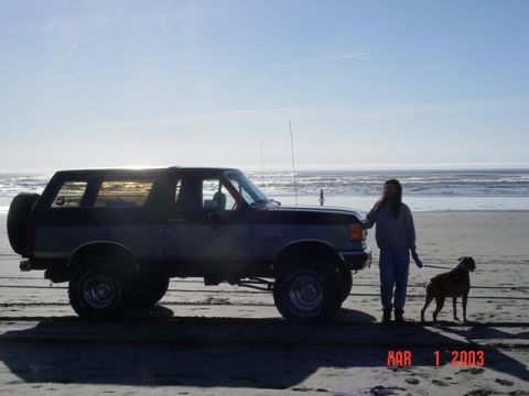 1989 Ford Bronco - Again