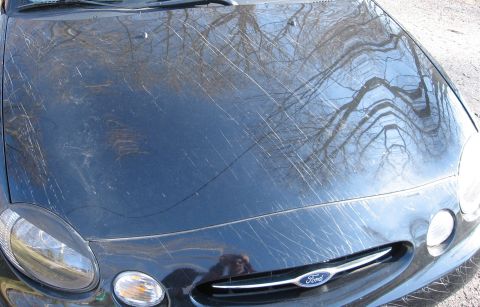 1999 Ford Taurus - The hood of a dark car is heavily scratched, with reflections of bare tree branches visible on its surface.