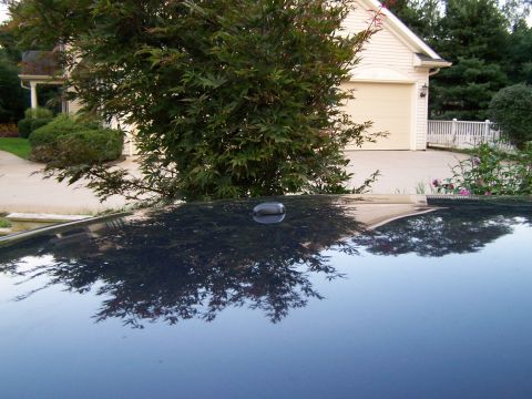 2003 Ford Crown Victoria - The reflection on the car's roof shows trees and a house with a garage.