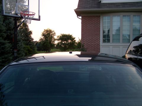2003 Ford Crown Victoria - The rear of a car is visible with a suburban backyard scene including a basketball hoop and a house.