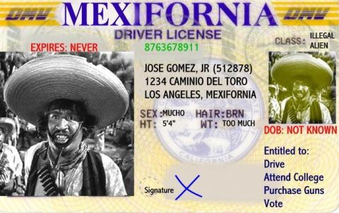 2005 Ford Excursion - This is a fake driver's license with humorous personal details and a photo of a man wearing a large sombrero.