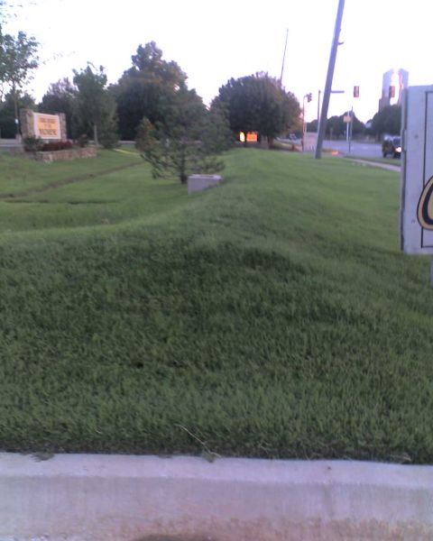 1965 Ford Mustang - A view of a grassy hill with a sign and distant traffic lights, suggesting a suburban or roadside setting.