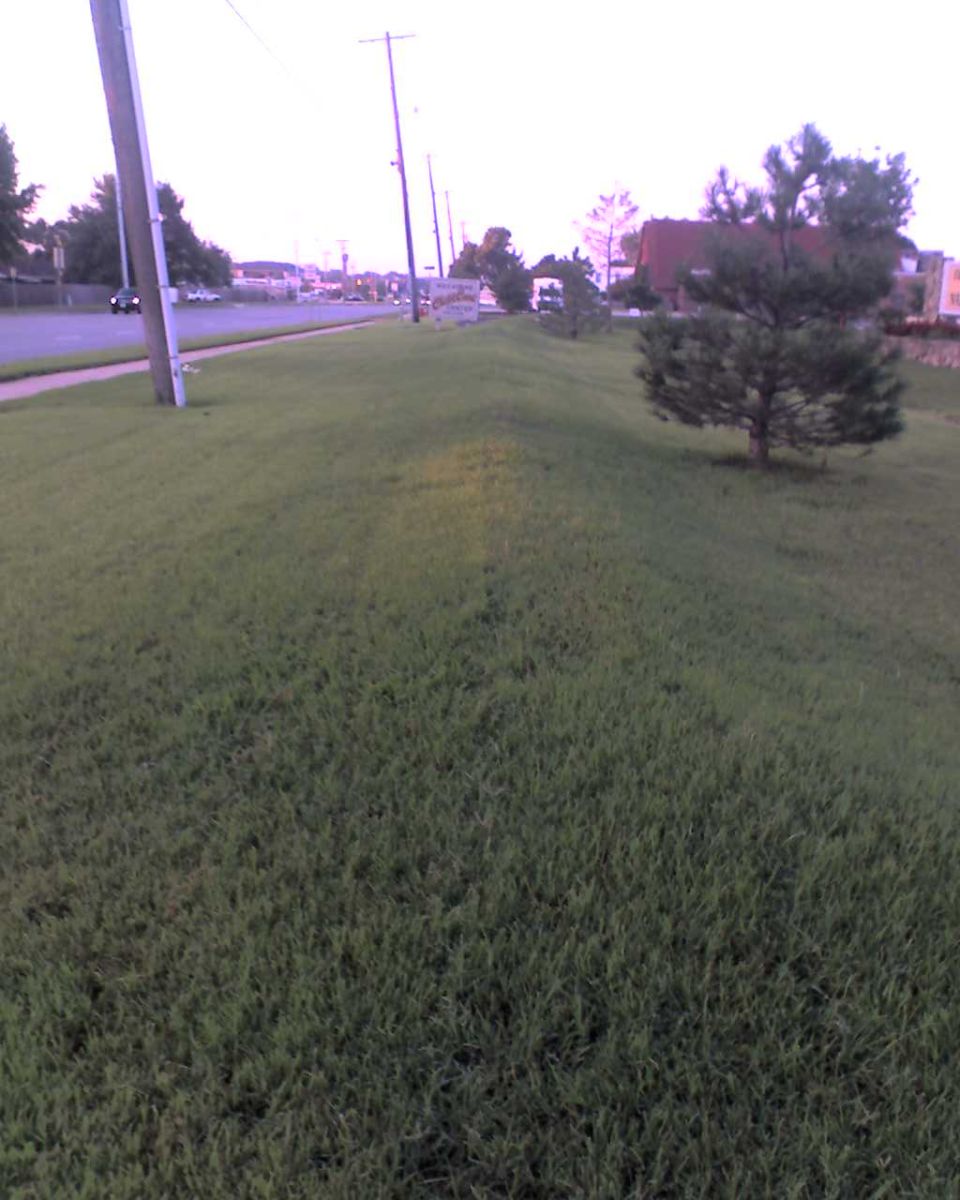 Suburban street with a road, sidewalk, grass, trees, and utility poles