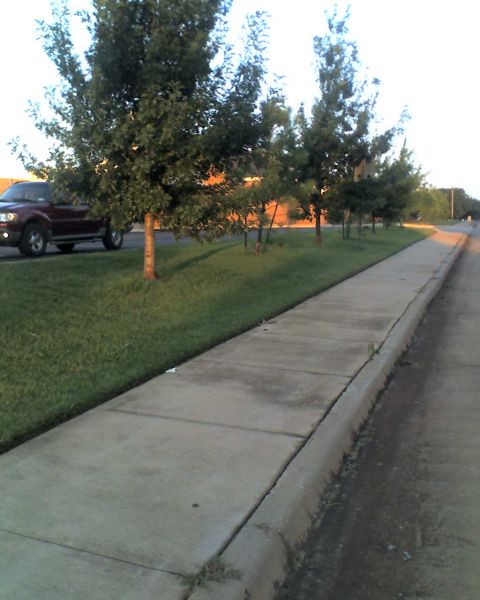 1965 Ford Mustang - A red SUV is visible on the left side of the image, parked next to a sidewalk and trees.