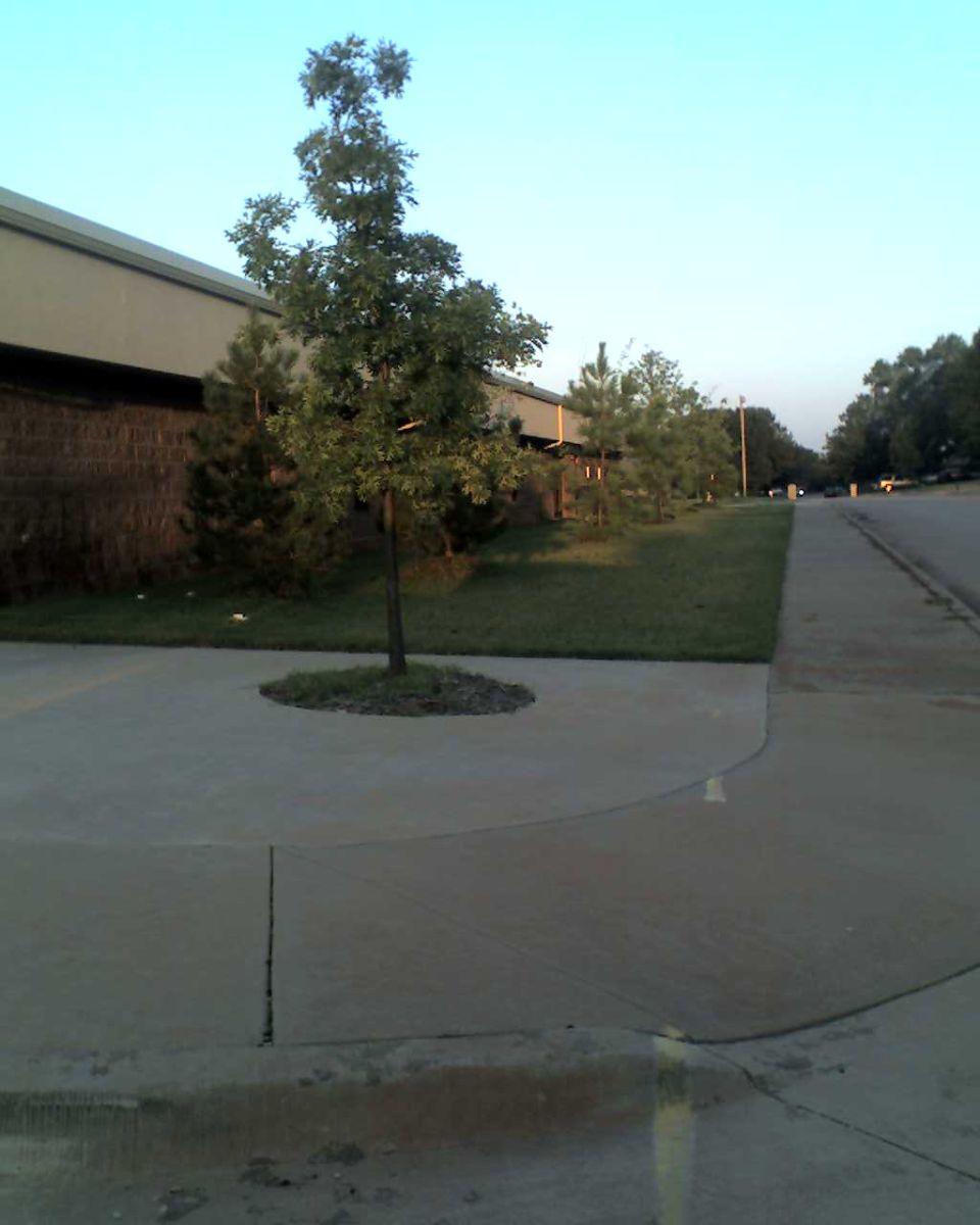 Parking lot with a tree and a building