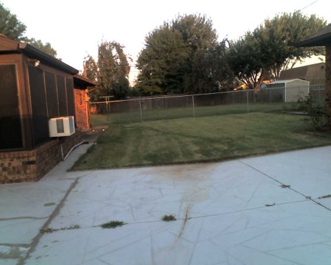 1965 Ford Mustang - A suburban backyard is shown with a concrete patio in the foreground and a chain-link fence enclosing the lawn.
