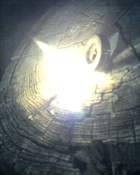 1965 Ford Mustang - A close-up view of a tire partially obscured by a dark, textured material.