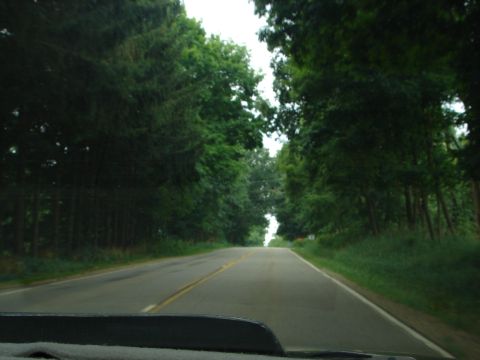 1992 Ford Taurus - Driving down a two-lane road surrounded by dense trees, with the car's dashboard visible in the foreground.