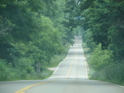 1992 Ford Taurus - A long, empty road stretches into the distance, bordered by lush green foliage.