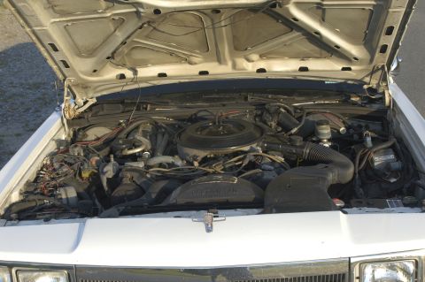 1991 Ford Crown Victoria LTD - The engine compartment of a white vehicle is shown with the hood open, revealing the motor and associated parts.