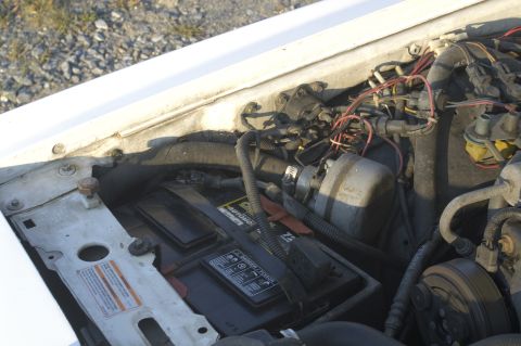 1991 Ford Crown Victoria LTD - The engine bay of a white vehicle shows a battery and various wires and hoses.