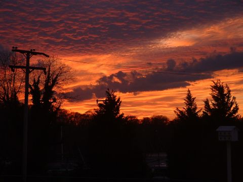 1994 Ford Bronco - A dramatic sunset paints the sky with vibrant orange and purple hues, casting silhouetted trees and a utility pole into darkness.