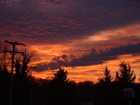 1994 Ford Bronco - Dramatic sunset colors fill the sky above a silhouetted landscape with trees and a utility pole.