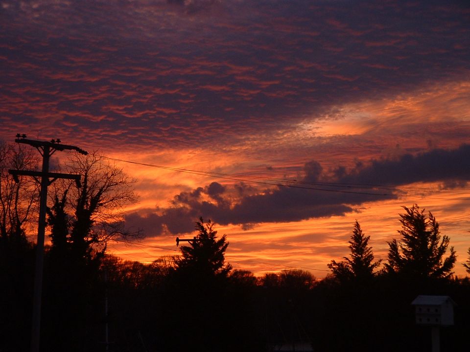 Sunset sky with orange and purple clouds over silhouetted trees and a utility pole