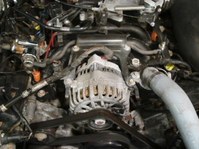 Engine bay with alternator, hoses, and wiring visible
