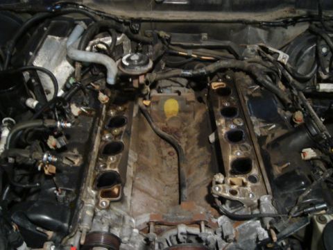2000 Ford Crown Victoria - Engine bay with intake manifold removed, exposing the intake ports and associated wiring.