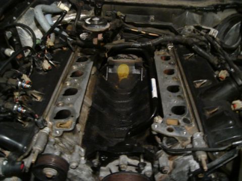 2000 Ford Crown Victoria - Engine bay with intake manifold removed, revealing internal components and wiring harnesses.