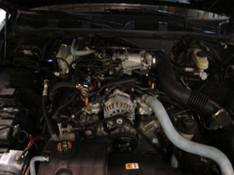 2000 Ford Crown Victoria - The engine bay of a 2000 Ford Crown Victoria is shown, the V8 engine and associated components.