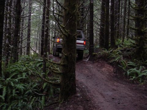 1989 Ford Bronco - Mine in the woods (Frank)