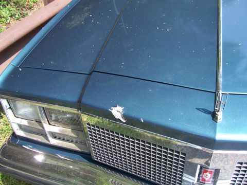 1999 Ford Crown Victoria - Close-up view of a blue car's hood and front grille, showing some wear and tear.