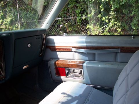 1999 Ford Crown Victoria - Interior view of a car showing the door panel, seat, and window.