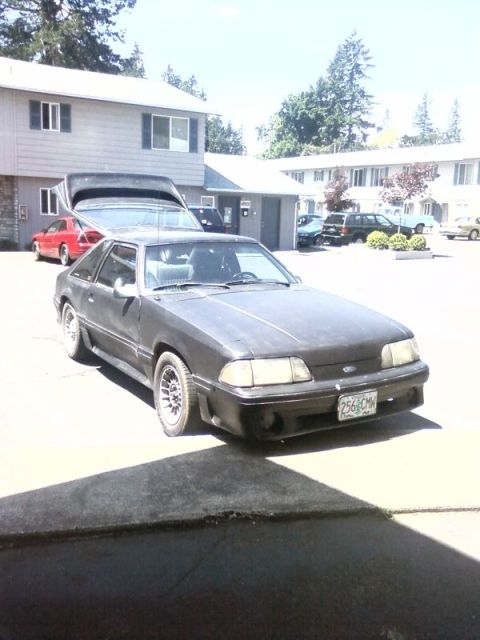 1989 Ford Mustang photo