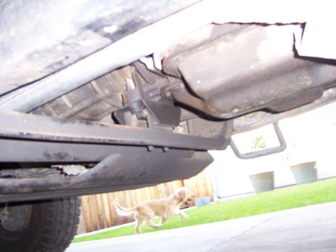1991 Ford Bronco - A dog runs under the chassis of a vehicle.