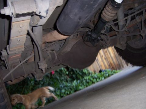 1991 Ford Bronco - Undercarriage view of a truck, focusing on the rear suspension and drivetrain components.