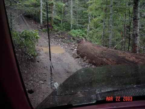 1989 Ford Bronco - Cool log on the powerline trail