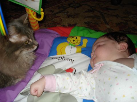 2000 Ford Crown Victoria - A cat observes a baby sleeping on a playmat. The mat has colorful graphics and the word 'elephant'.
