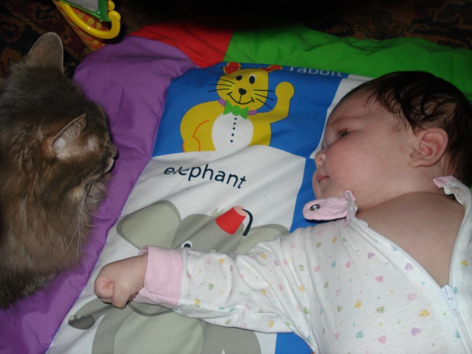 Cat looking at a baby lying on a colorful playmat with animal pictures