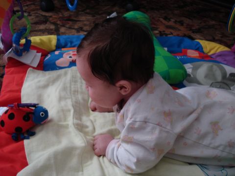 2000 Ford Crown Victoria - A baby enjoys tummy time on a colorful mat, reaching for a ladybug toy.