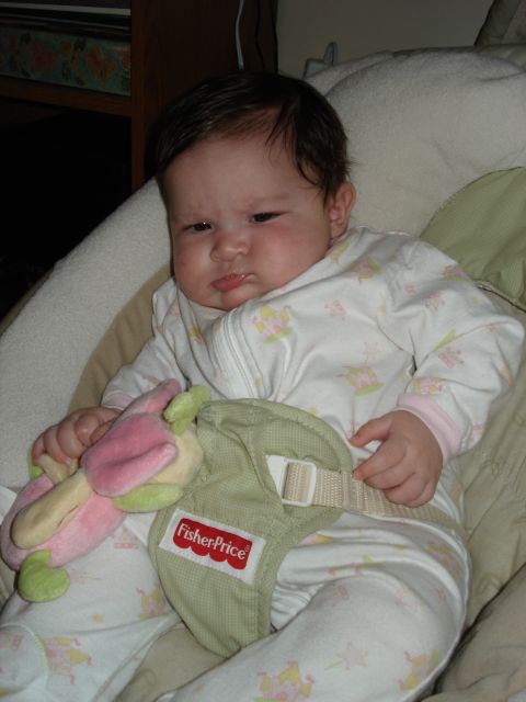 2000 Ford Crown Victoria - Baby sits in a Fisher-Price bouncer, holding a stuffed toy.