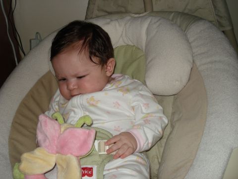 2000 Ford Crown Victoria - A baby is resting in a swing, holding onto a colorful toy.
