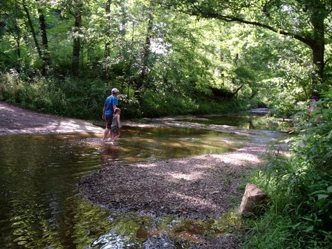 1996 Ford Bronco - A father and child cross a stream in a sun-dappled forest setting.