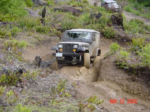 1989 Ford Bronco - Jeep dosent like this spot