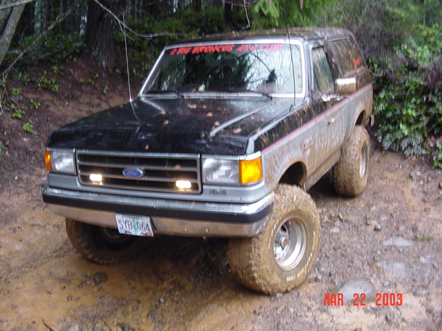 On the lower part of the powerline by the horse camp