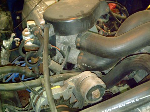 1990 Ford Bronco - Close-up view of engine components, including hoses and electrical connections.