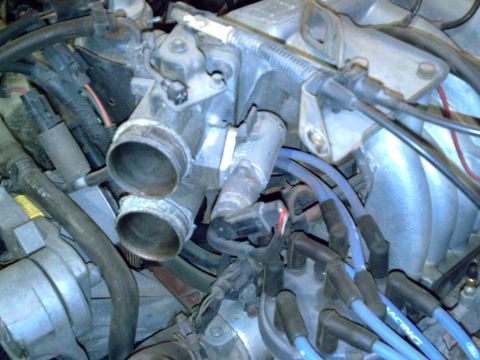 1990 Ford Bronco - Engine close-up showing throttle body, intake manifold, and spark plug wires.