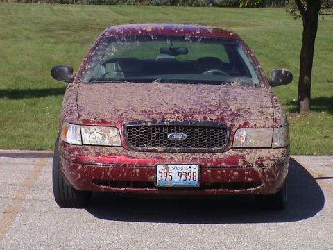 2000 Ford Crown Victoria - Sep-01-2007-02
