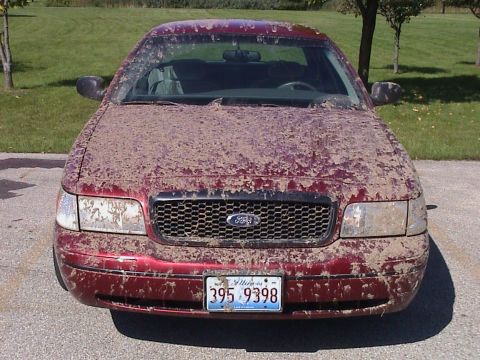 2000 Ford Crown Victoria - Sep-01-2007-03