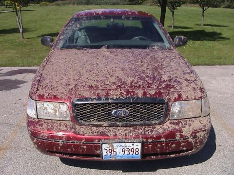 2000 Ford Crown Victoria - Sep-01-2007-04